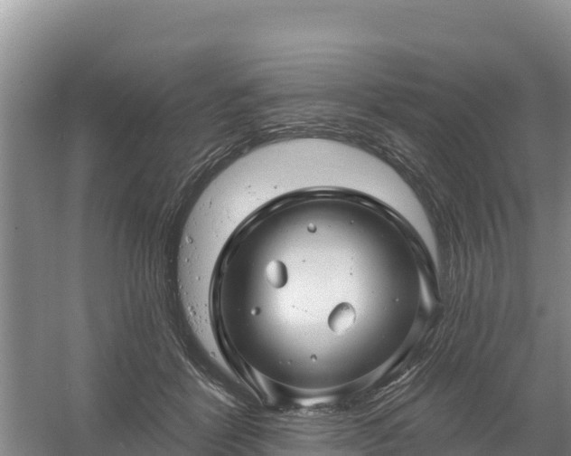 X0000058140412200509302024