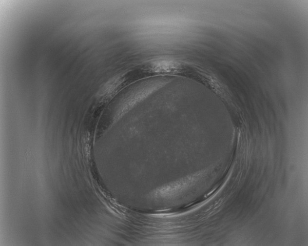 X0000058140413200509302024