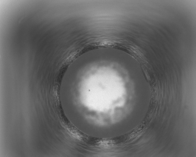 X0000058140415200509302024