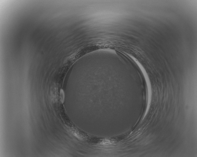 X0000058140416200509302024