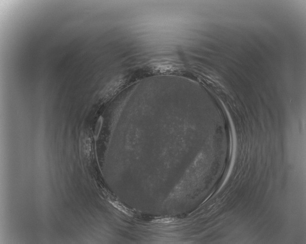 X0000058140417200509302024