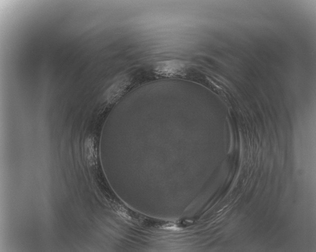 X0000058140420200509302024