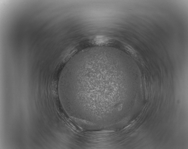 X0000058140421200509302024