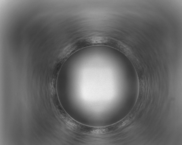 X0000058140422200509302024