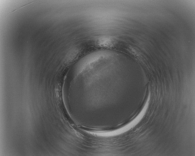 X0000058140424200509302024