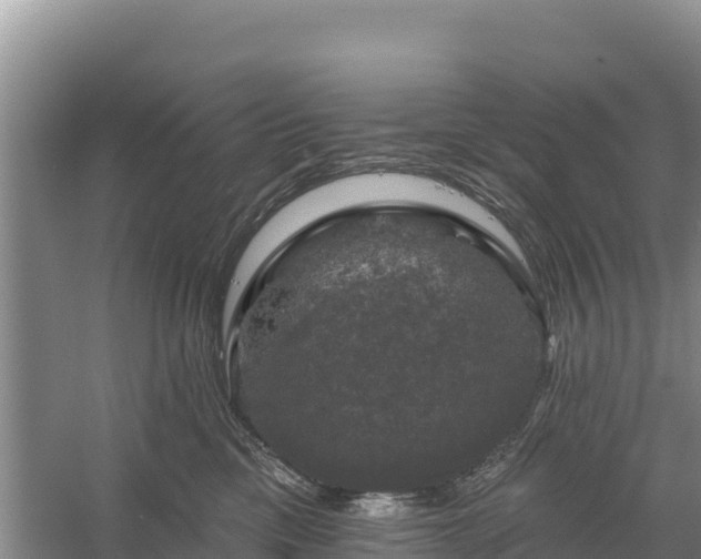 X0000058140425200509302024