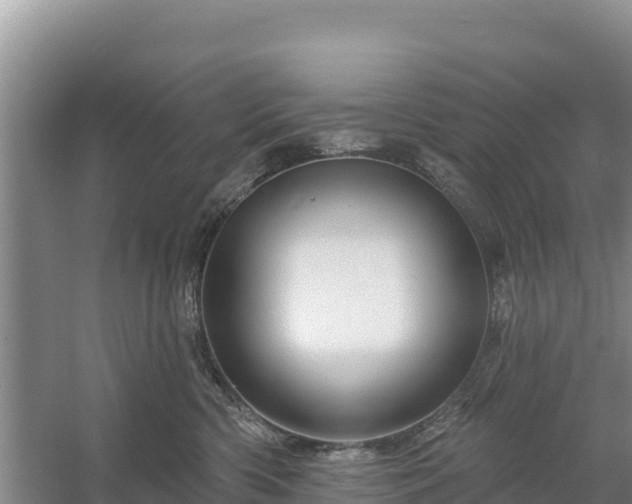 X0000058140426200509302024