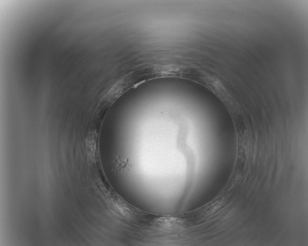 X0000058140427200509302024