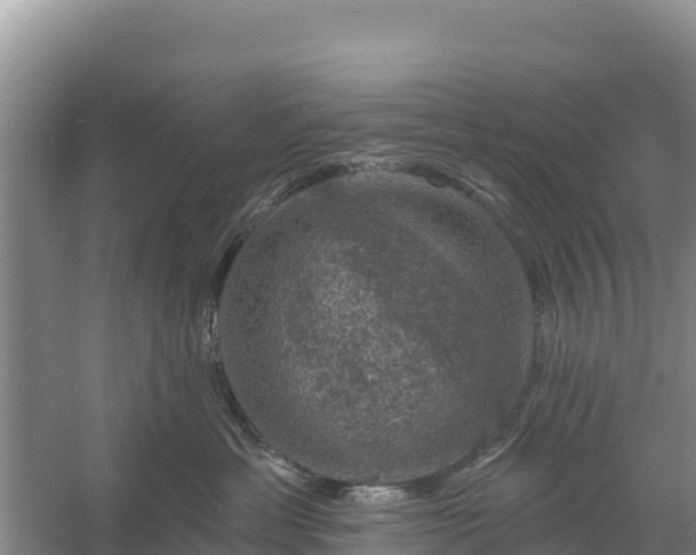 X0000058140429200509302024