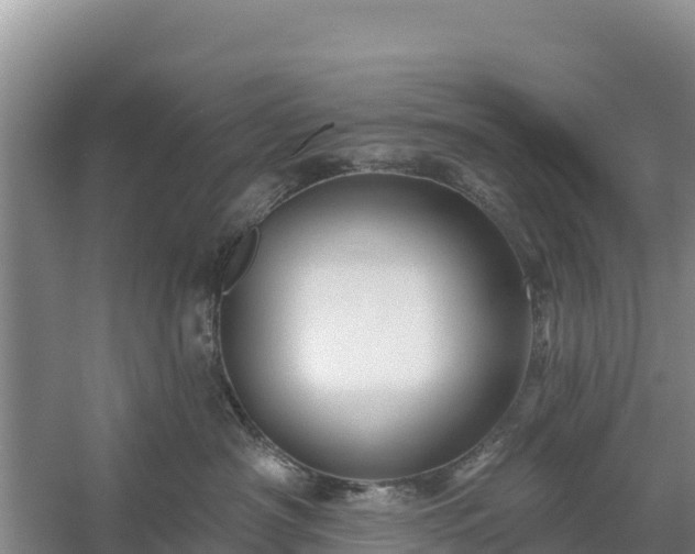 X0000058140430200509302024