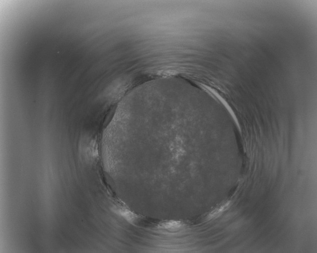 X0000058140431200509302024