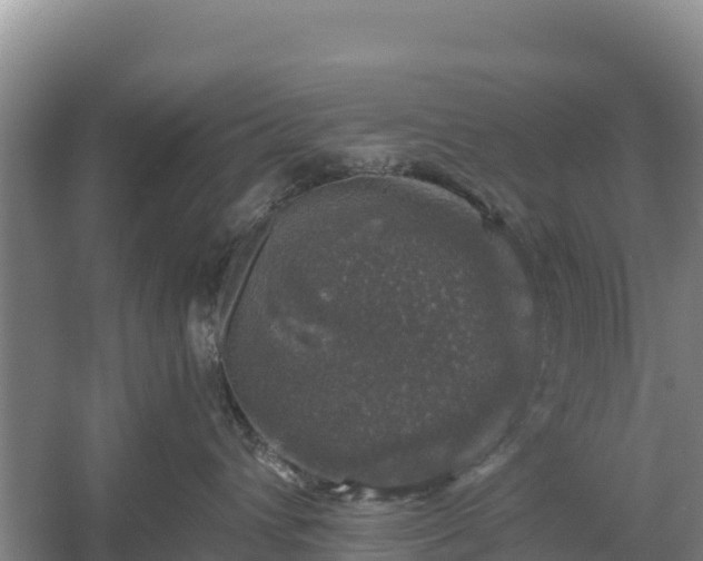 X0000058140432200509302024