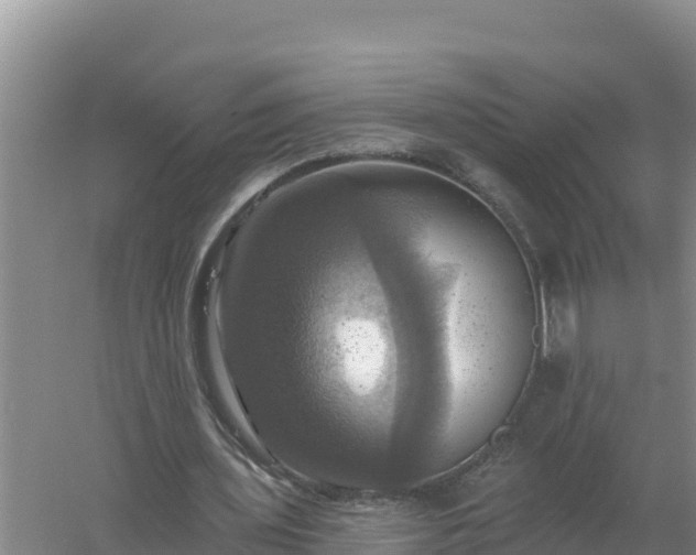 X0000058140435200509302023