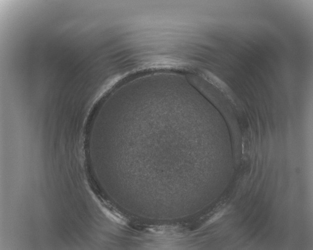 X0000058140436200509302023