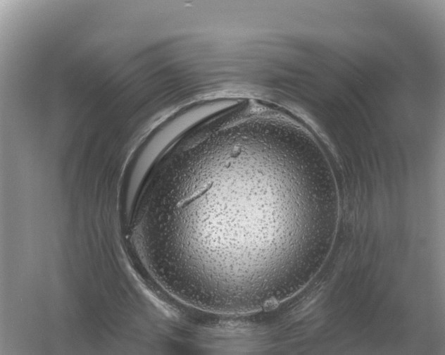 X0000058140437200509302023