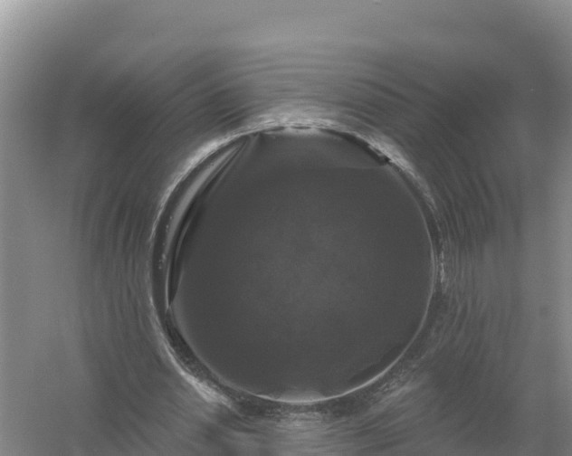 X0000058140438200509302023