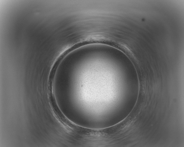 X0000058140439200509302023