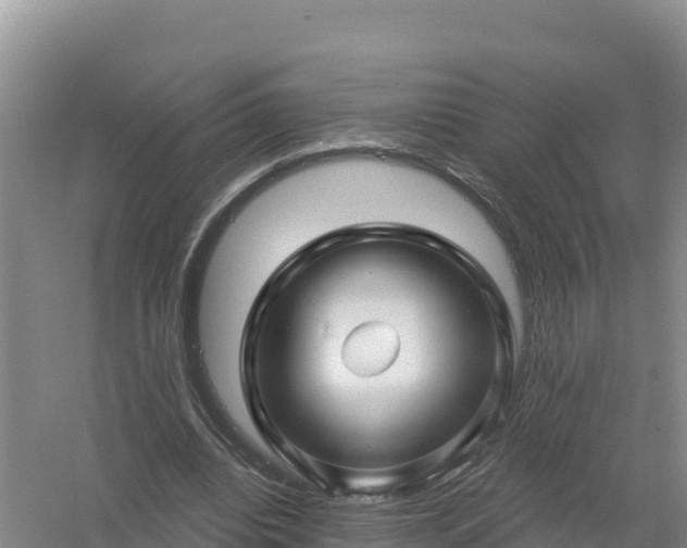 X0000058140440200509302023