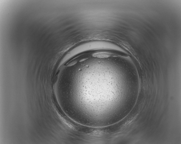 X0000058140441200509302023