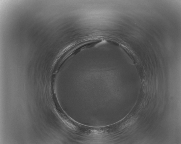 X0000058140442200509302023