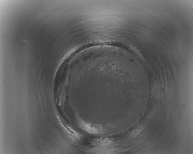 X0000058140443200509302023