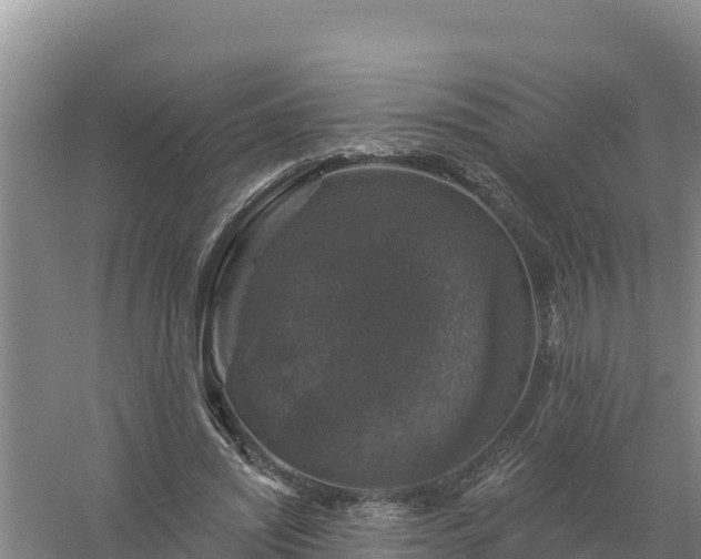 X0000058140444200509302023