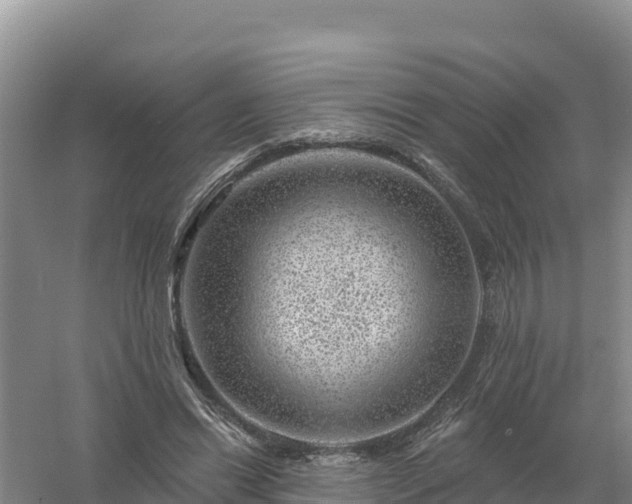 X0000058140446200509302023