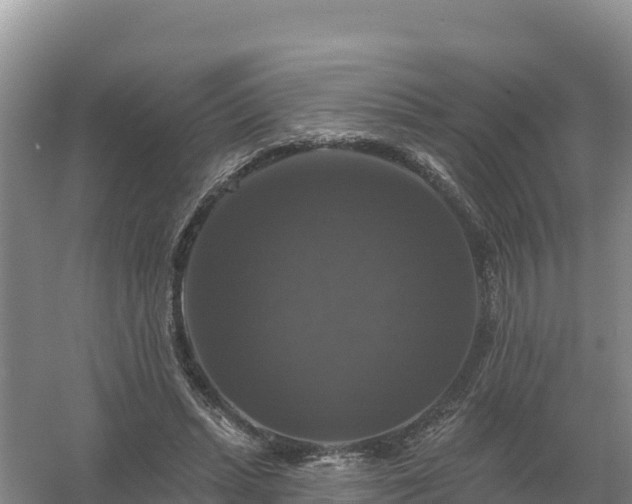 X0000058140447200509302023