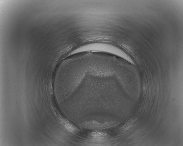 X0000058140453200509302023