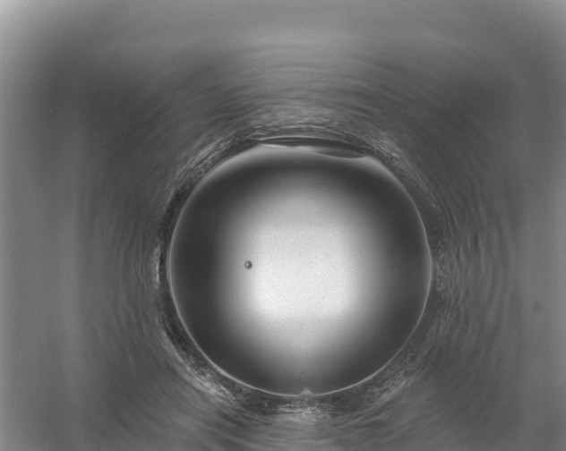 X0000058140454200509302023