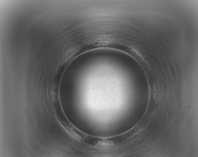 X0000058140455200509302023