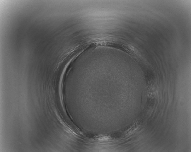 X0000058140456200509302023