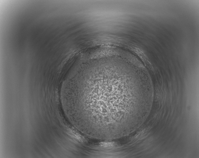 X0000058140457200509302023