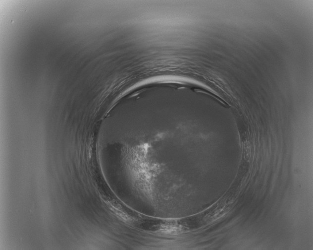 X0000058140458200509302023