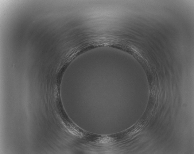 X0000058140459200509302023