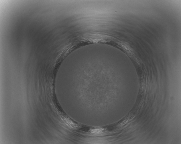 X0000058140461200509302023