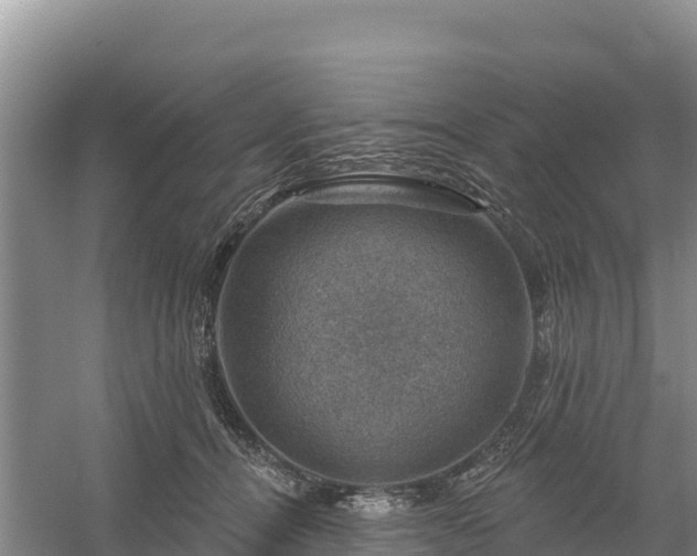 X0000058140464200509302023