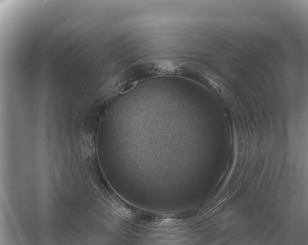 X0000058140467200509302023