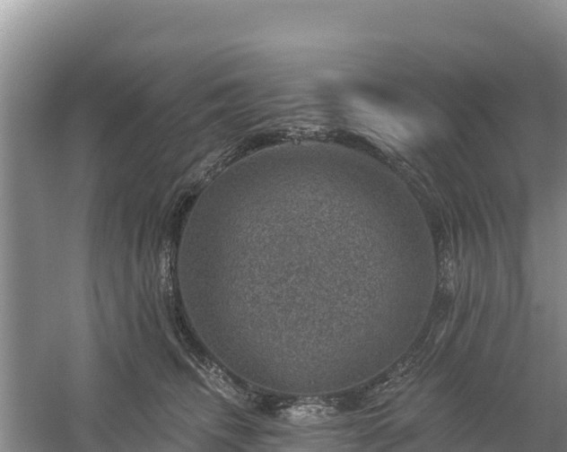 X0000058140468200509302023