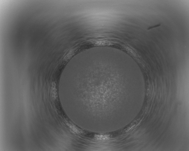 X0000058140469200509302023