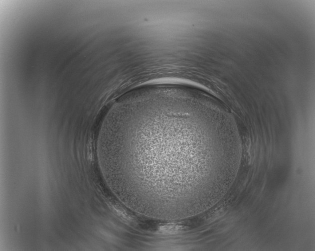 X0000058140470200509302023