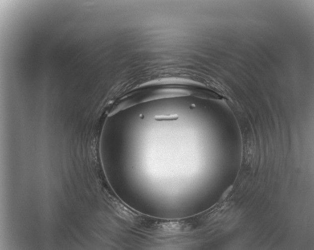 X0000058140473200509302023