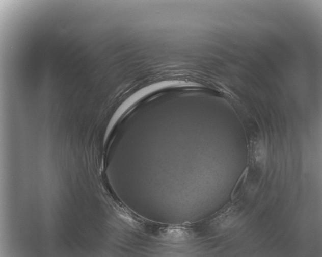 X0000058140475200509302023