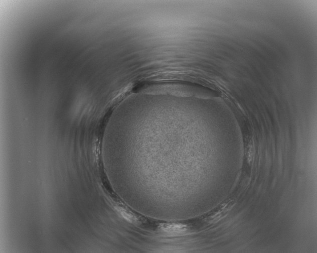 X0000058140476200509302023