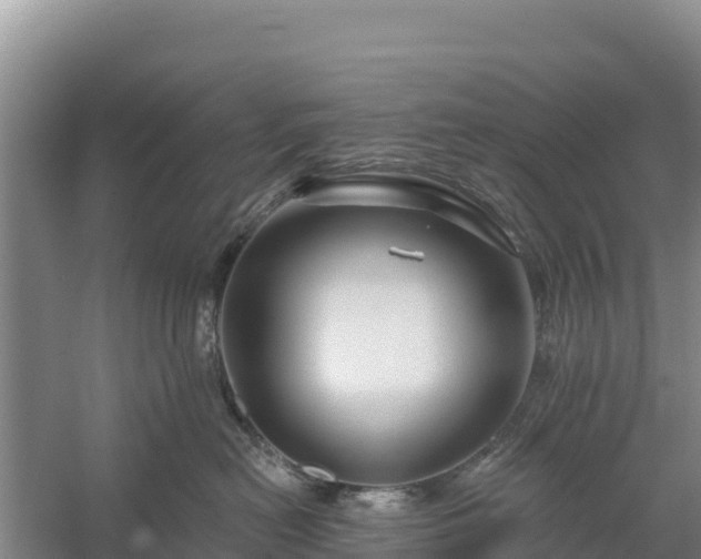 X0000058140478200509302024