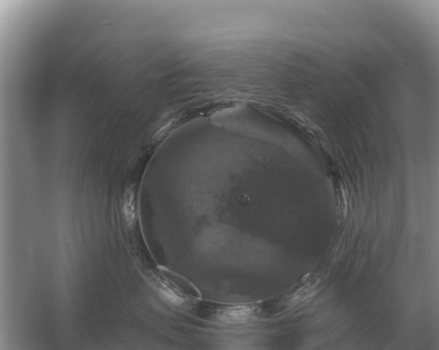 X0000058140479200509302024