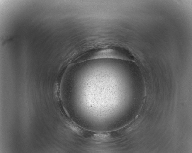 X0000058140480200509302024