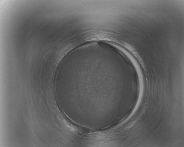 X0000058140481200509302023