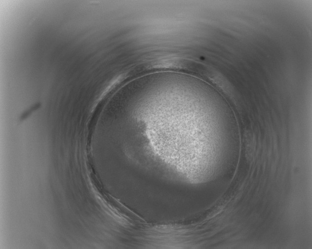 X0000058140482200509302023