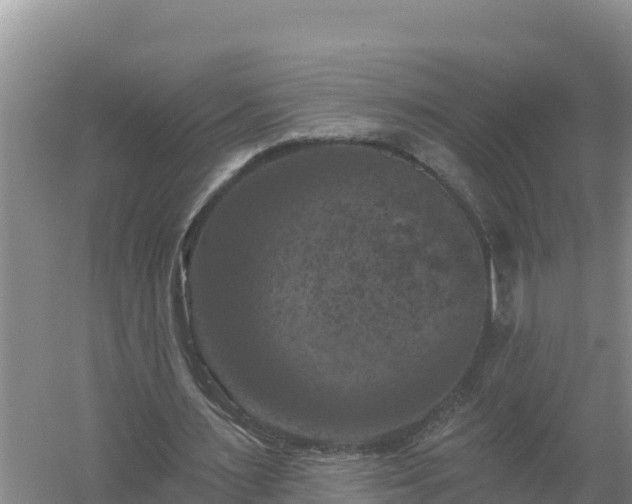 X0000058140483200509302023